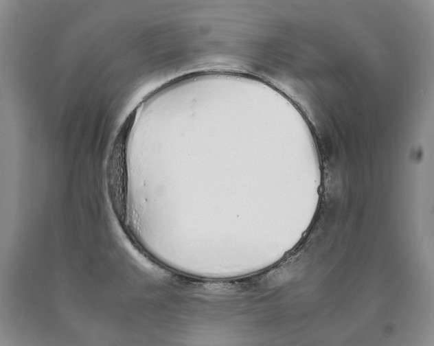 X0000089931383200707271748