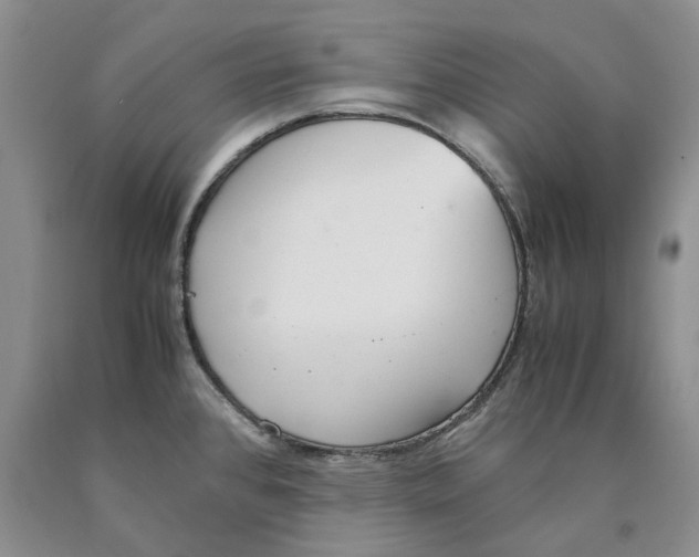 X0000089931384200707271748