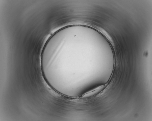 X0000089931388200707271748