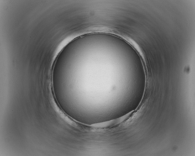 X0000089931389200707271748