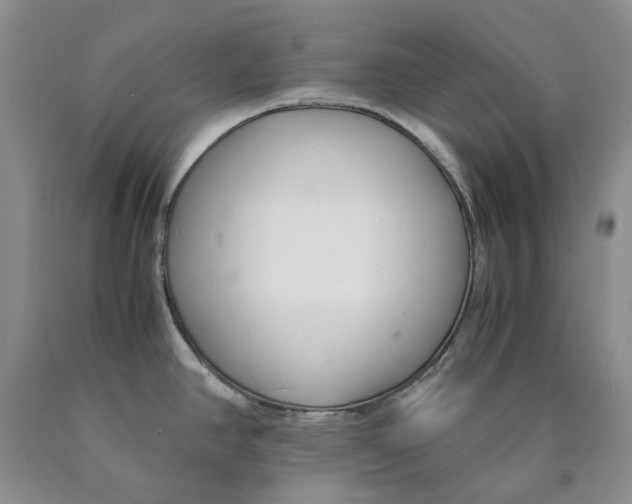 X0000089931390200707271748