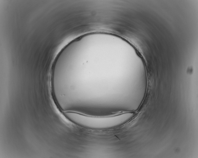 X0000089931391200707271748