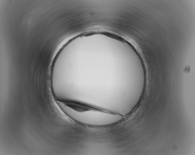 X0000089931392200707271748