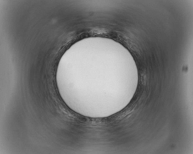 X0000089931393200707271747