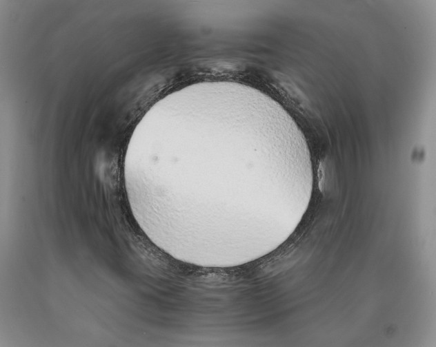 X0000089931395200707271747