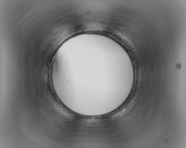 X0000089931401200707271747