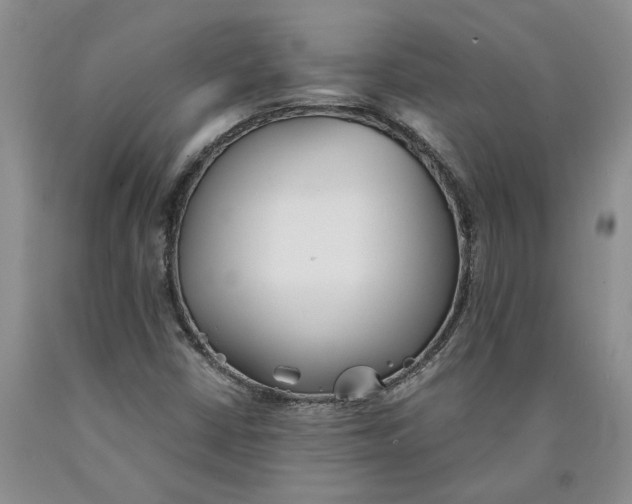 X0000089931402200707271747