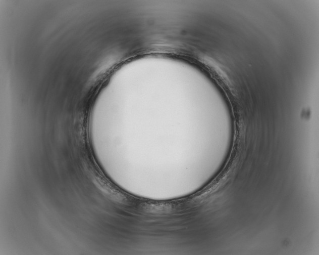 X0000089931403200707271747