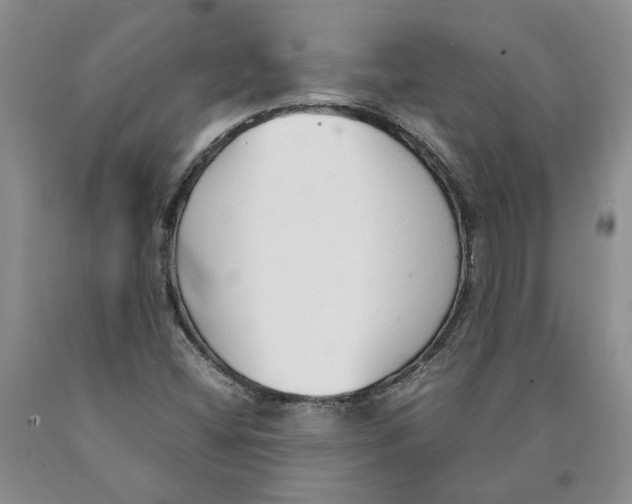 X0000089931404200707271747