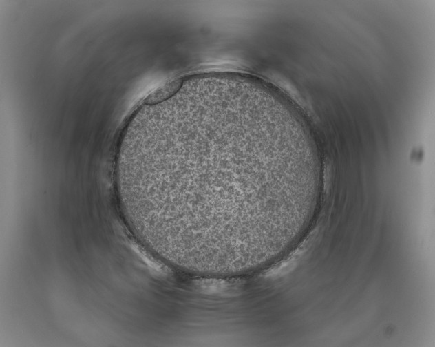 X0000089931405200707271747