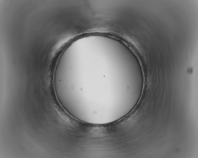 X0000089931406200707271747