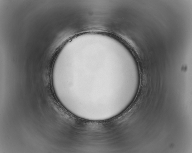 X0000089931407200707271747