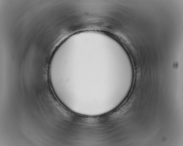 X0000089931409200707271747