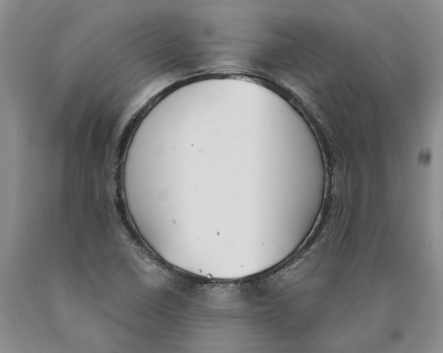 X0000089931410200707271747