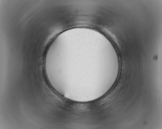 X0000089931411200707271747