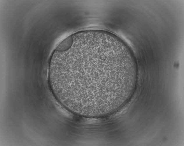 X0000089931413200707271747