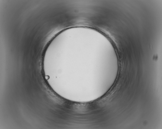 X0000089931415200707271747