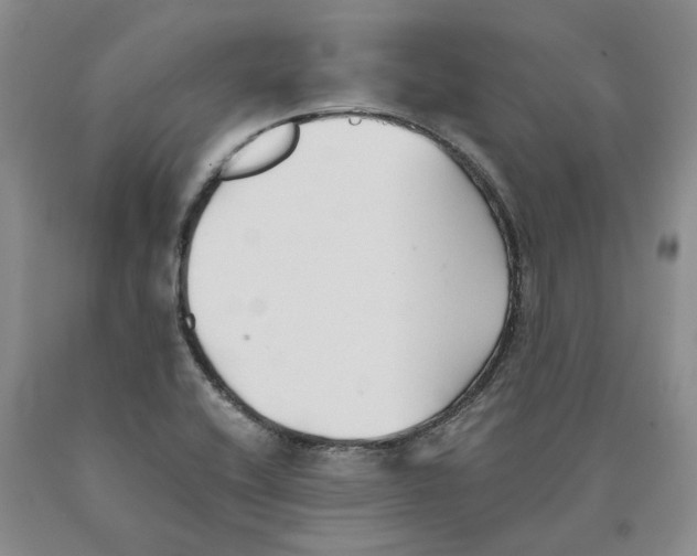 X0000089931416200707271747