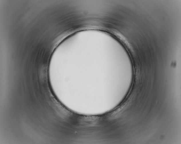 X0000089931417200707271747