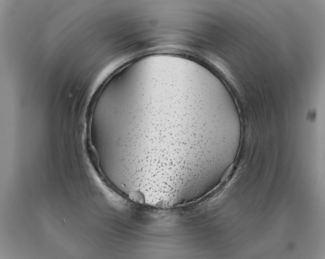 X0000089931418200707271747