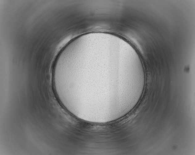 X0000089931419200707271747