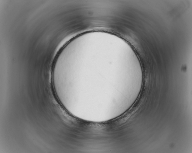 X0000089931420200707271747