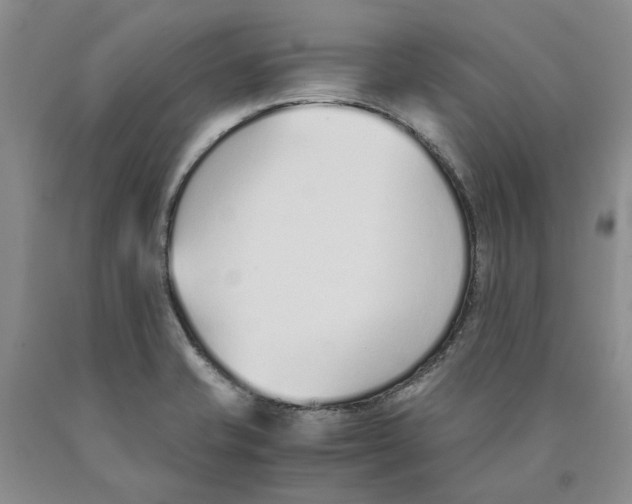 X0000089931421200707271747