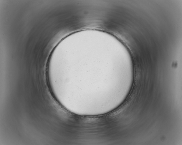 X0000089931423200707271748