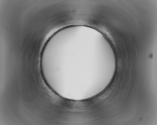 X0000089931424200707271748