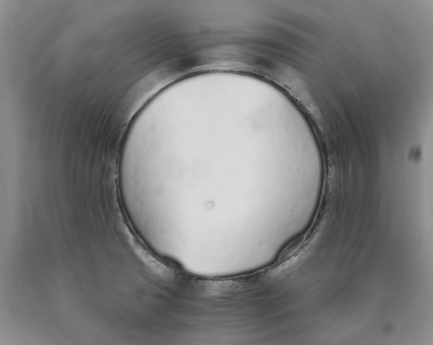 X0000089931425200707271748