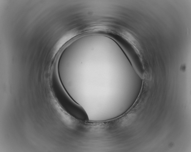 X0000089931426200707271748