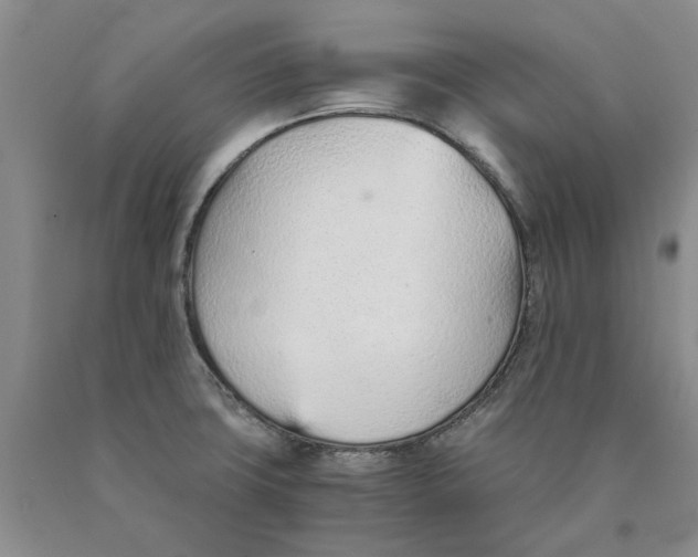 X0000089931427200707271748