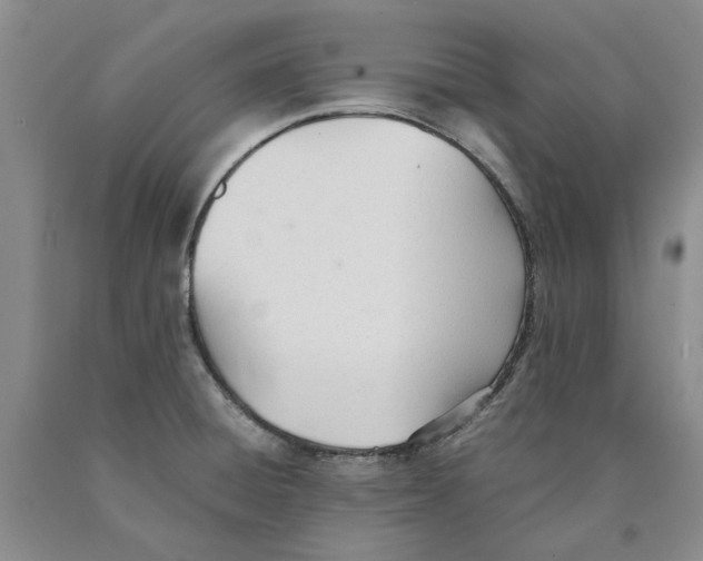 X0000089931428200707271748