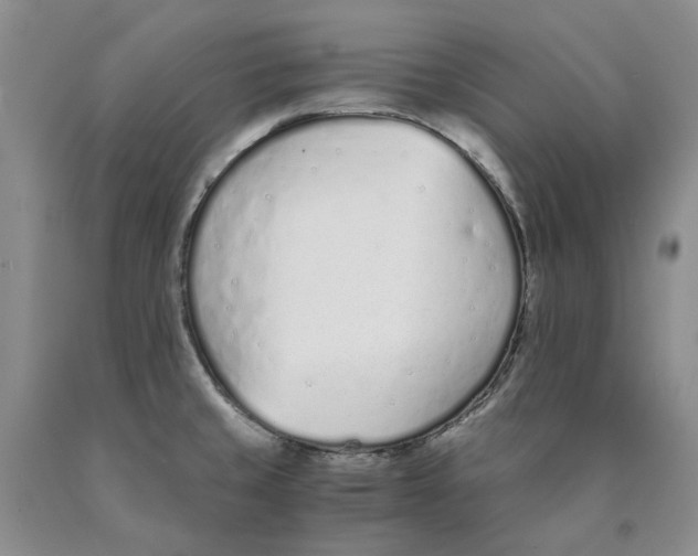 X0000089931429200707271748