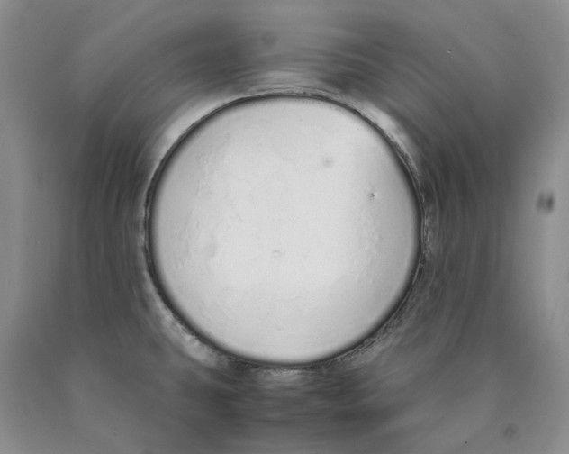 X0000089931431200707271748