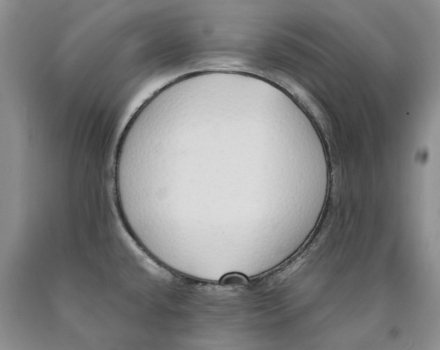 X0000089931432200707271748