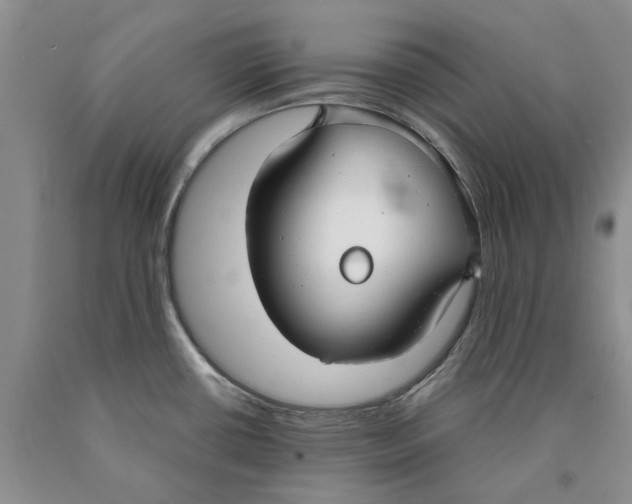 X0000089931434200707271748