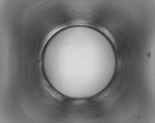 X0000089931435200707271748