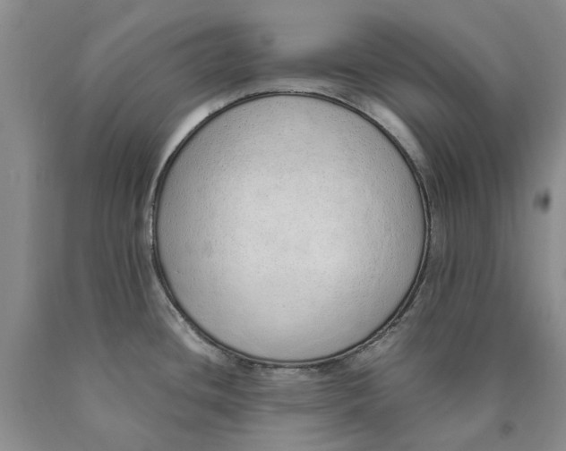 X0000089931436200707271748