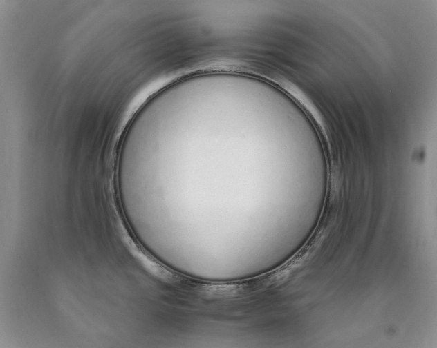 X0000089931437200707271748