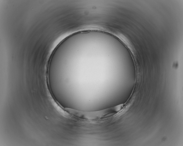 X0000089931438200707271748