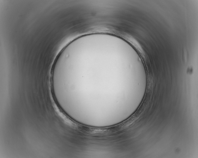 X0000089931439200707271748