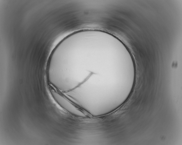 X0000089931440200707271748