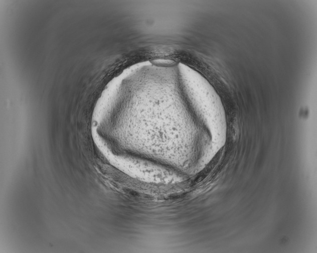 X0000089931441200707271747