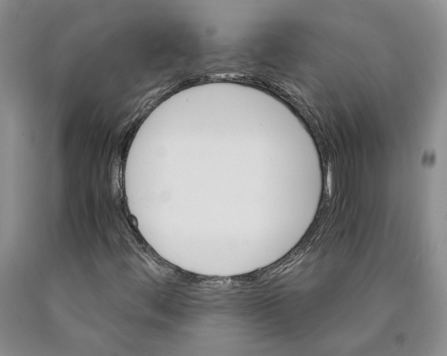 X0000089931444200707271747