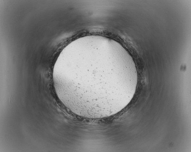 X0000089931445200707271747