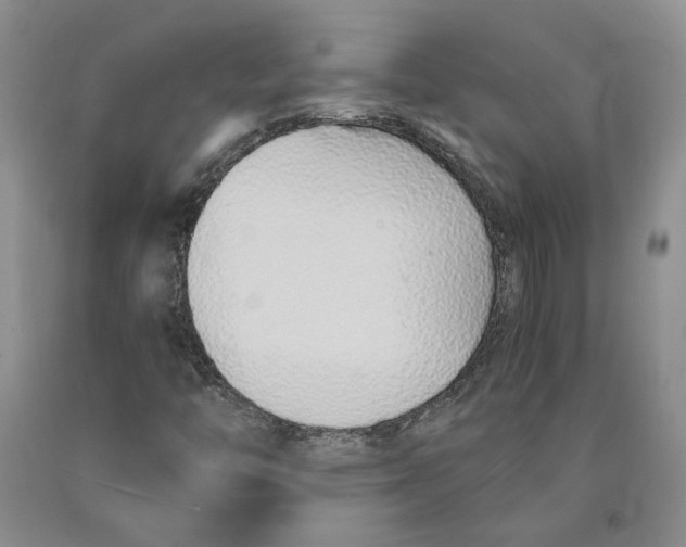 X0000089931446200707271747