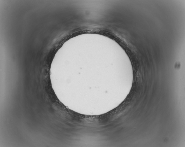 X0000089931447200707271747