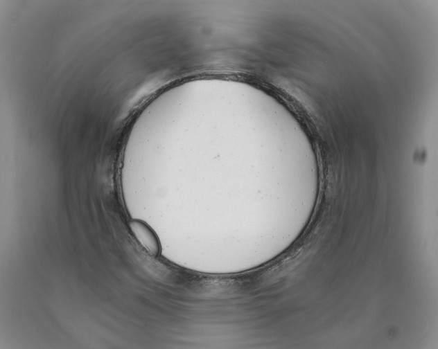 X0000089931451200707271747