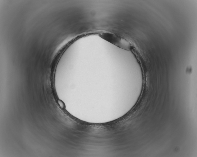 X0000089931452200707271747